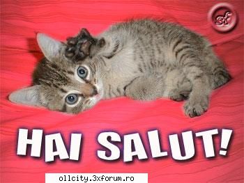buna sorina :hi::hi: poze funny !