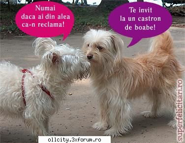 :d:d:d poze funny !