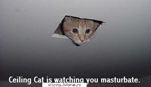 poze funny !